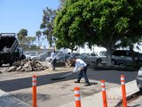 Tree Root Removal Asphalt Repair Costa Mesa CA