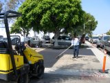 Tree Root Removal Asphalt Repair Costa Mesa CA