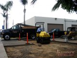 Tree Root Removal Asphalt Repair Costa Mesa CA